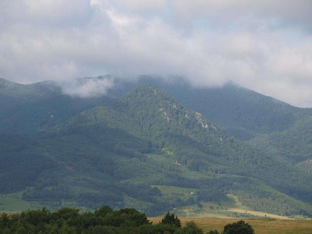 Penzion Koruna Nitrianske Rudno Dış mekan fotoğraf